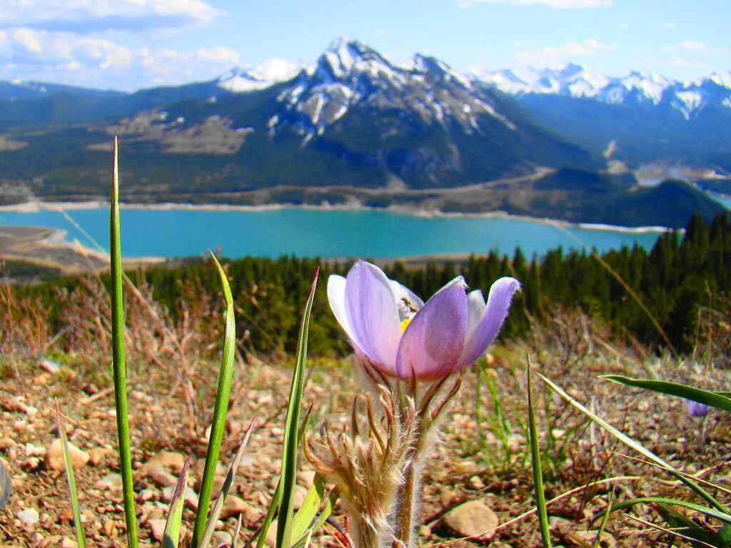 Barrier Lake Kananaskis